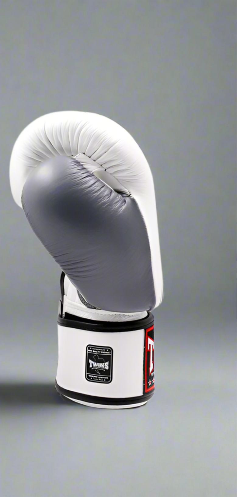 Twins Bokshandschoenen BGVL 8 White / Black
