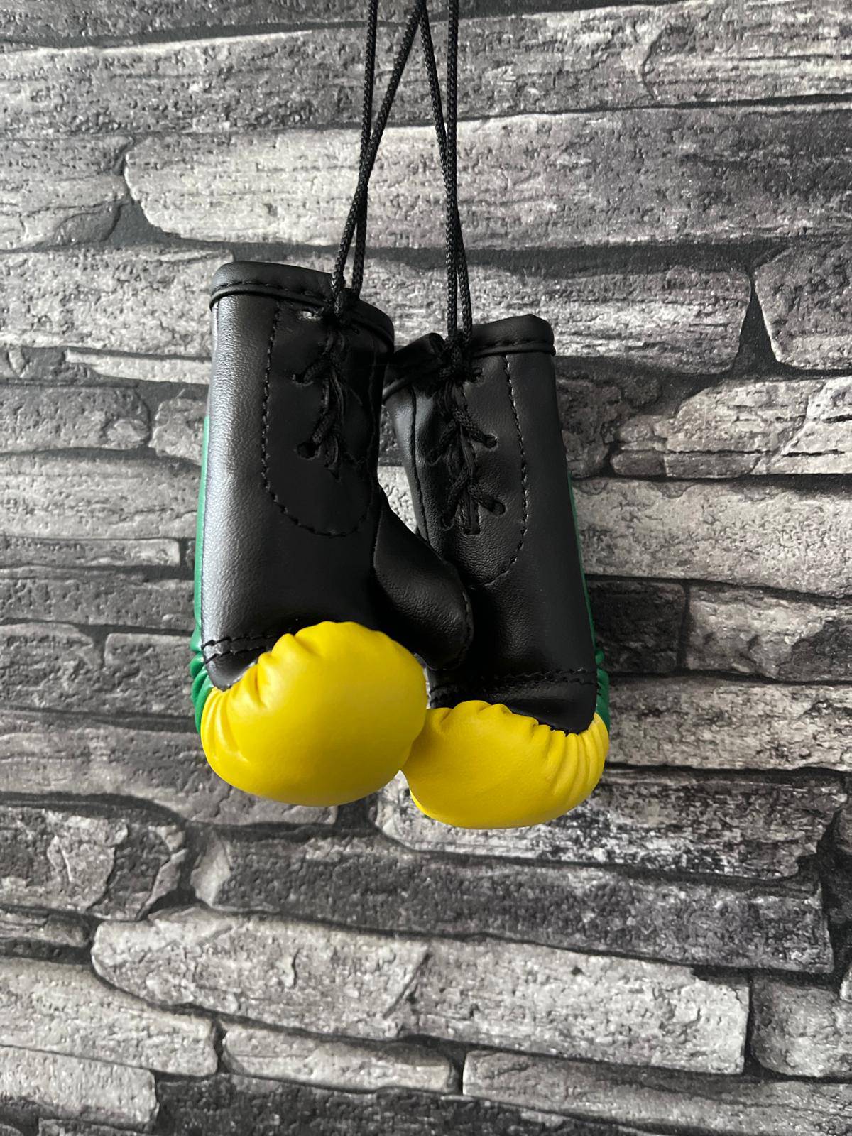 Mini bokshandschoenen Fc Den Haag